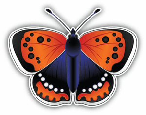 /'/'SIZES/" Ukraine Butterfly Flag Car Bumper Sticker Decal