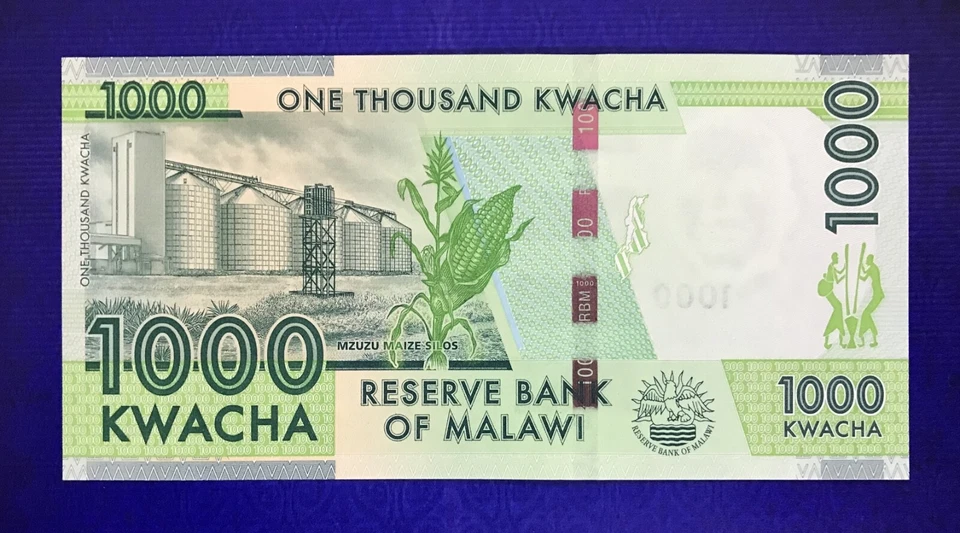 2012 MALAWI - 1000 KWACHA - GEM UNC - EZSA7 - Image 2 of 2