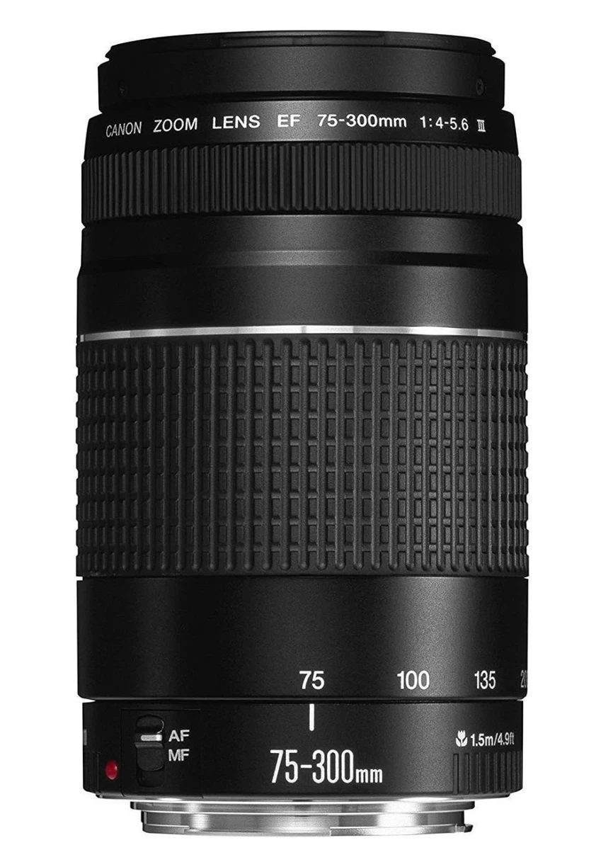 Canon EF 75-300mm Camera Lenses for sale | eBay