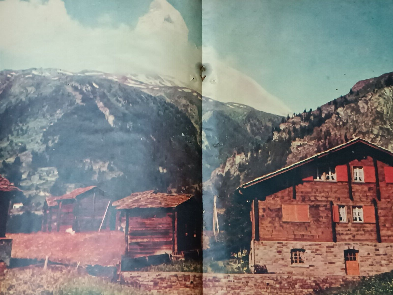 Picture 7 of 11