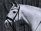 Bild 13 von 48
