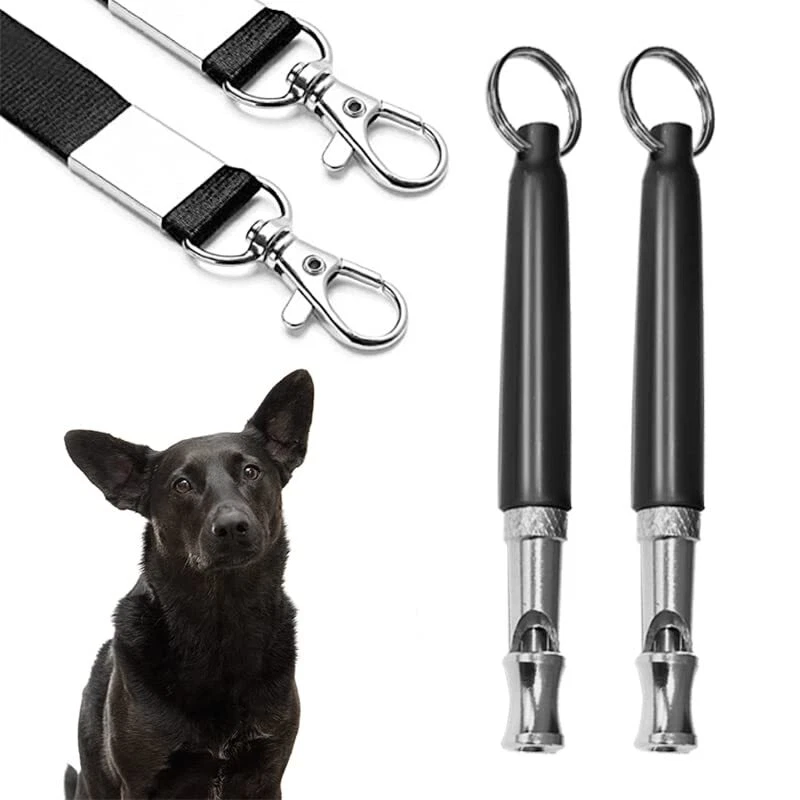 Are Dog Whistles Real