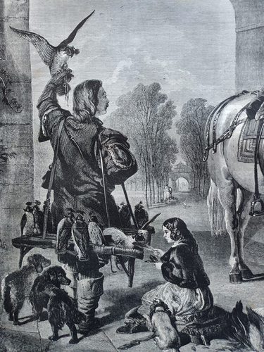 Caccia Caccia col Falcone Cavalli Cani Stampa antica 1859 - Foto 2 di 4