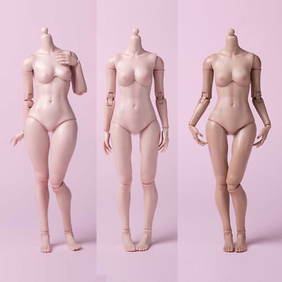 Worldbox AT201 AT202 1/6 Female Figure Body Normal Fat Leg 12