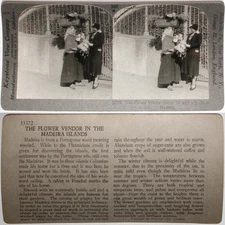 Keystone Stereoview Flower Vendor, Mederia Islands From Rare 1200 Card Set #502