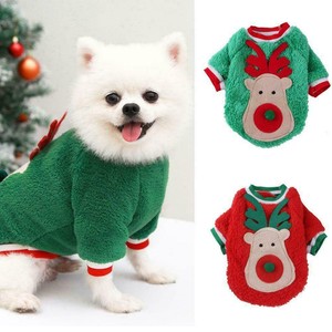 stylish dog clothes