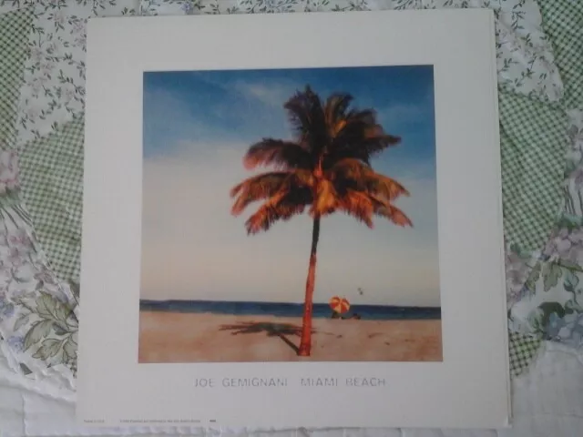 14x14 Miami Beach art print by Joe Gemignani