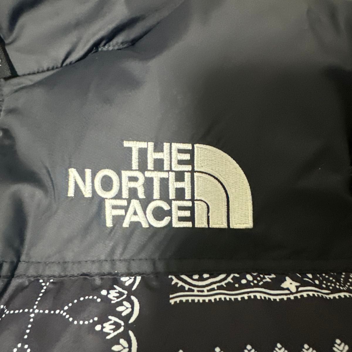 THE NORTH FACE Bandana Pattern Down Jacket thumbnail 2
