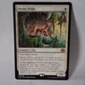 MTG: Modern Horizons 3: Ocelot Pride: Near Mint Condition