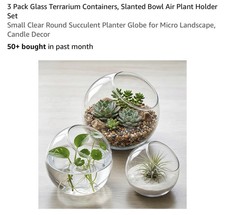 Round Glass Terrarium Planters Set of 3