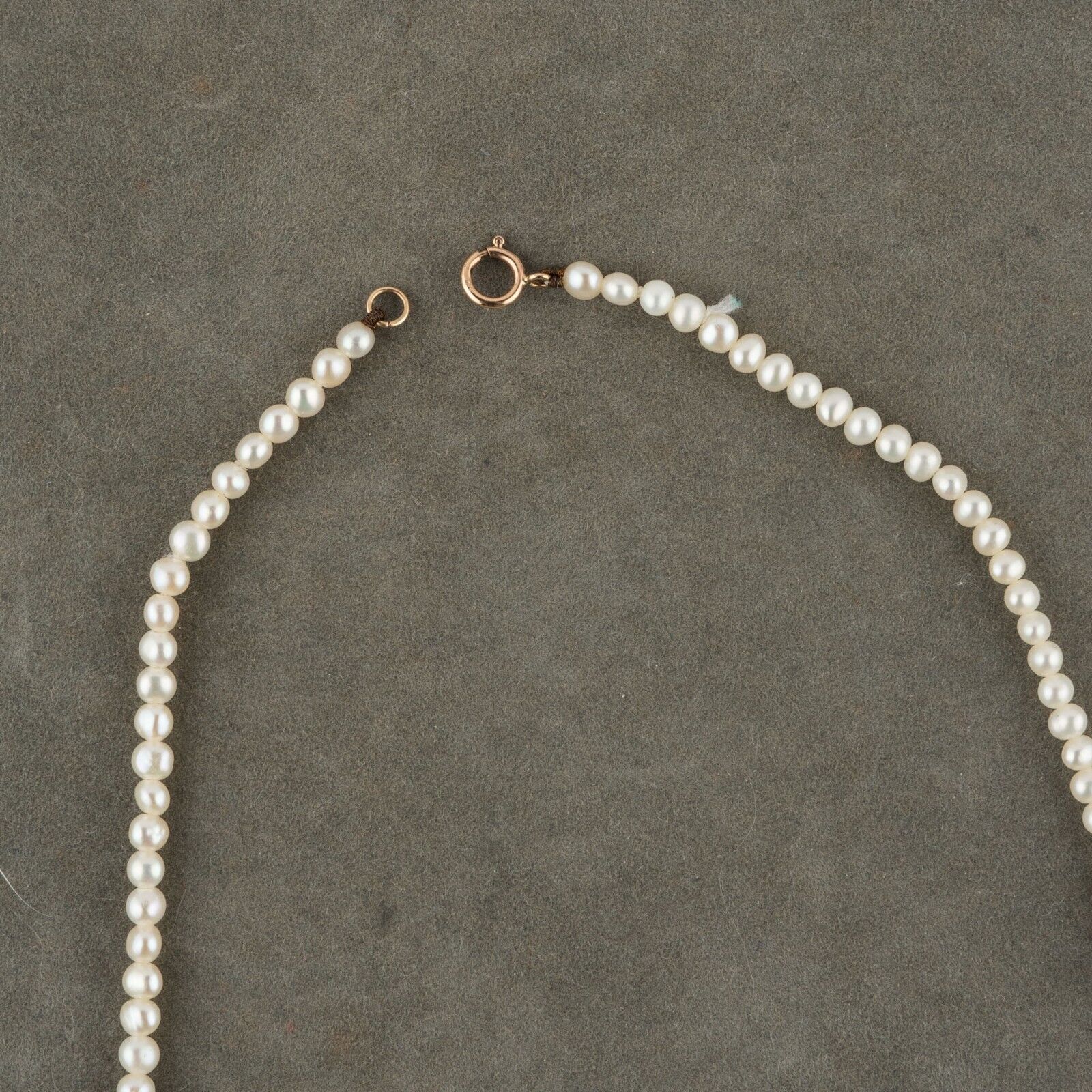 Foto 5 di 24