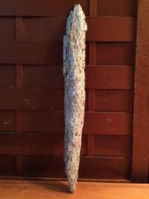 Beautiful 15" DRIFTWOOD Art Piece Terrarium Taxidermy Aquarium Beach Wood DECOR