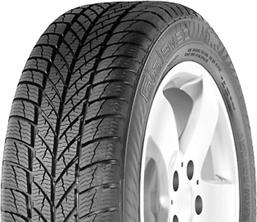 Gislaved Winterreifen für Autos