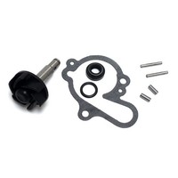 Yamaha DT X SM (2C3C/14P) 50 Reparatursatz Wasserpumpe 2006-2013