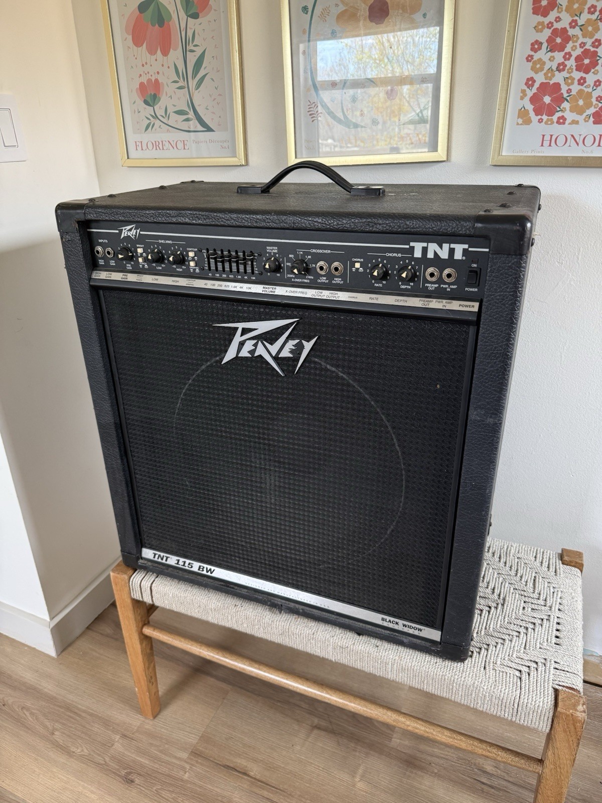 ?Vintage 1990s Peavey TNT 115 BW 150-Watt 1x15" Bass Combo WORKS!