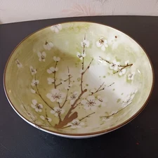 Japanese Green, Blossom, Ceramic Pottery 8" Diameter Rice Bowl