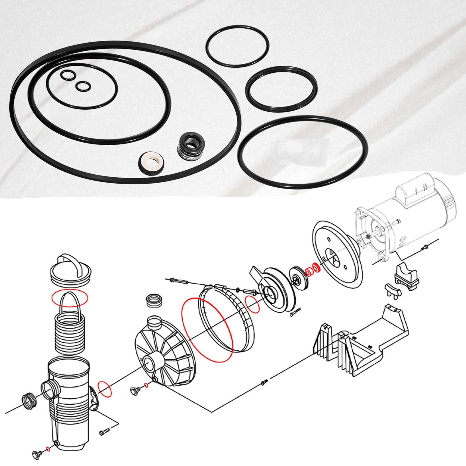O-Ring Seal Repair Rebuild Kit Fit for Pentair Challenger Waterfall Pump 355329