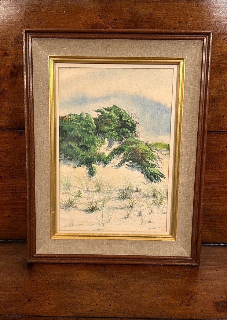 Rare Ed Heitman Original Watercolor Covered Dune, Medium Glass & Wood Framed