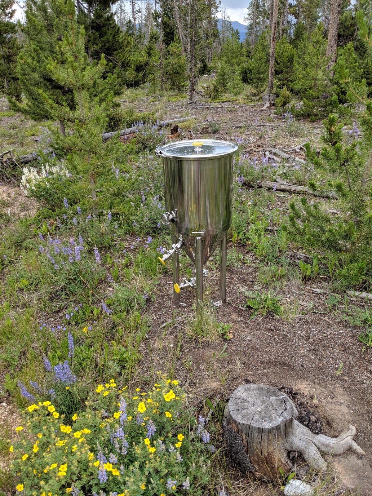 8 Gallon Stainless Steel Conical Fermenter Home Distiller Moonshine