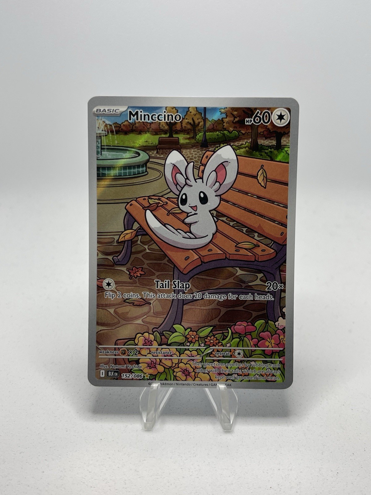 Pokemon TCG - Minccino - 152/086 - Illustration Rare - SV: Black Bolt