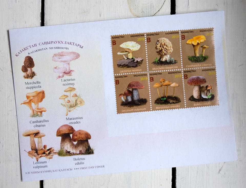 SUPER RARE HUGE LOT of Kazakhstan FDC - Image 3 of 4