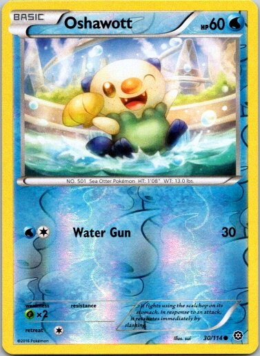 Oshawott Common XY - Steam Siege 30/114 LP Reverse Holofoil Pokemon Card
