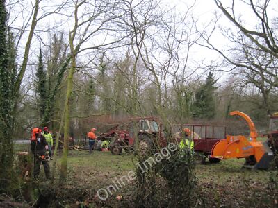 Foto 6x4 Baumfällung Hornsea Forstarbeiter auf der Wassand Esta c2009