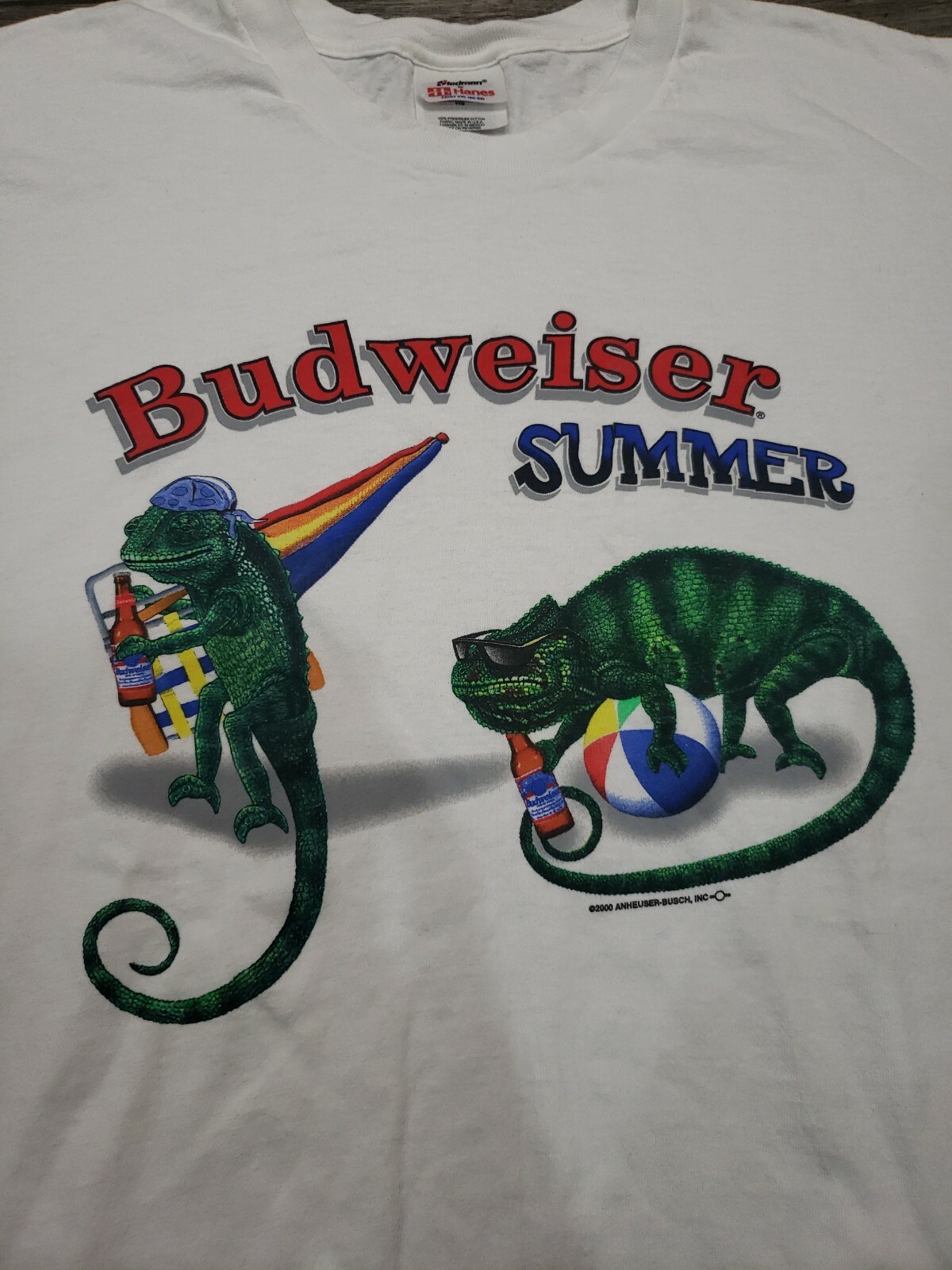 Vintage Chameleons Shirt : 'just A Boy Who Loves Chameleons T-shirt Reptile Pet Chameleon Owner