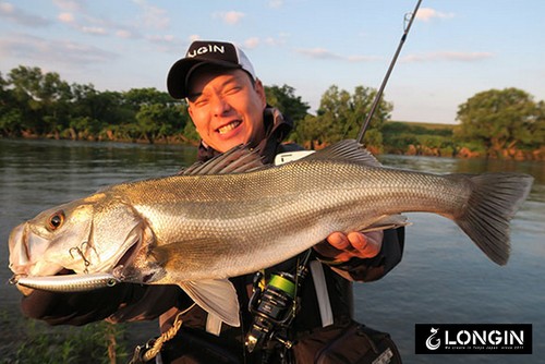 Longin Franky 120F 20g Japan Saltwater Fishing Lure, Hard Bait, Sea Bass, JDM - Picture 9 of 22