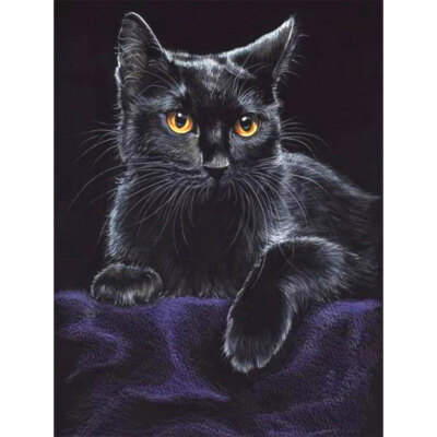 Schwarze Katze Porträt Zum Selbermachen Diamond Painting Kits Voll Rund Bohrer Wanddekoration