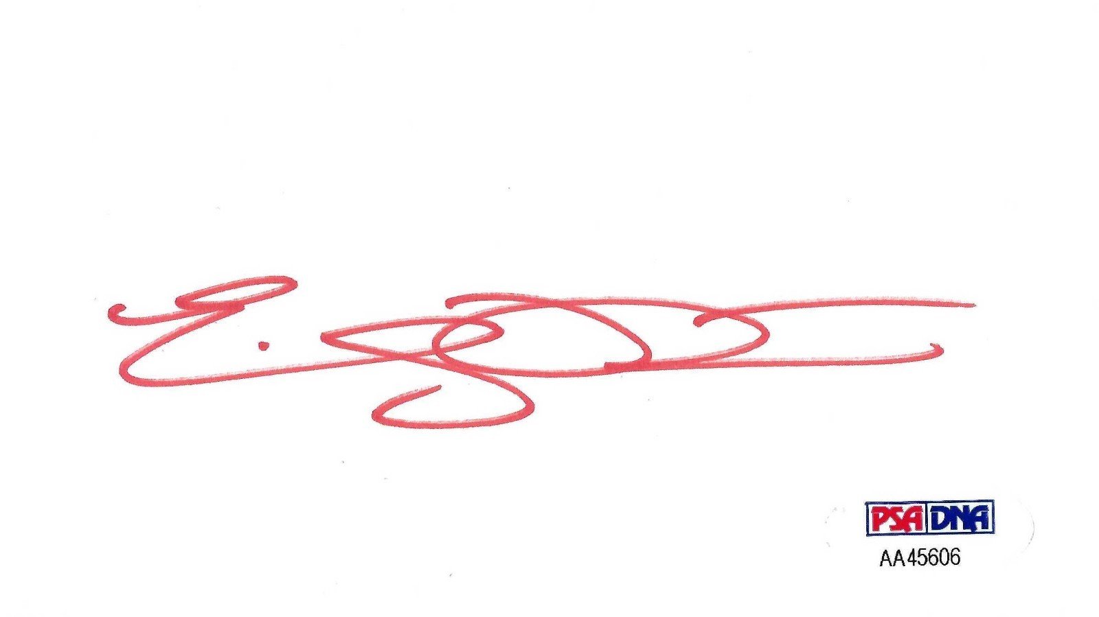 Emily Procter Signed 3x5 Index Card PSA/DNA COA Auto CSI Miami Leaving Las Vegas 