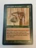 Silverglade Elemental - Magic the Gathering MTG Mercadian Masques Single Card
