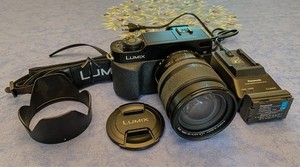Panasonic Lumix Dmc-L1 for sale | eBay