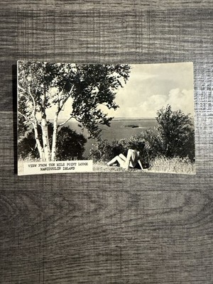 A View From Ten Mile Point Lodge RPPC Postcard