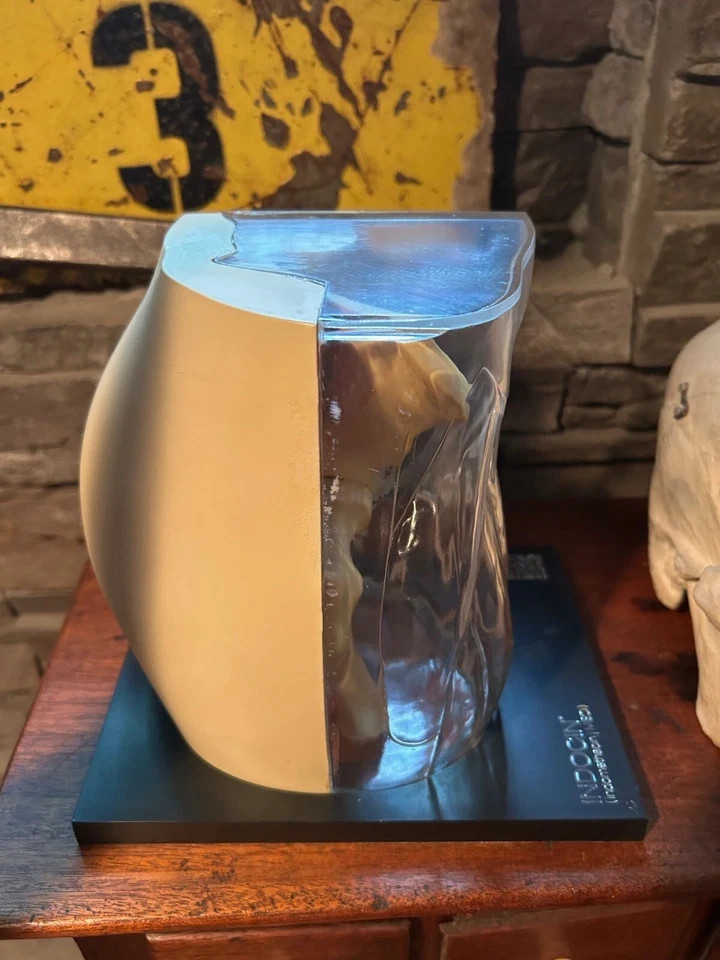 Vintage Medical Anatomical Knee Model Merck - Indocin