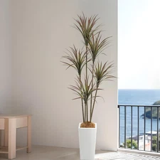 Artificial Dracaena Tree 6Ft(71In)Tall Faux Silk Yucca Tree with Realistic Leave