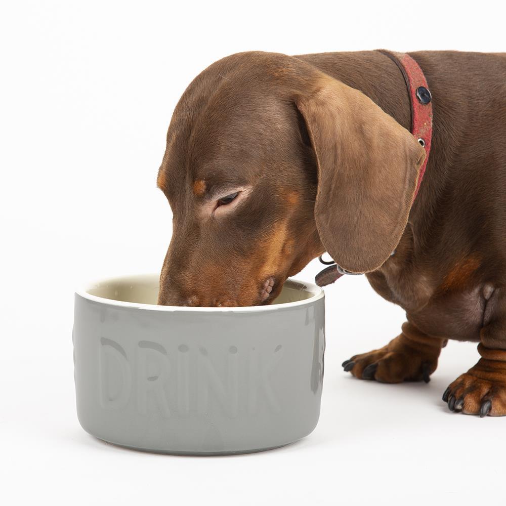 Dog Water Bowl Large Pet Dogs Drink Drinking Bowls Stoneware 15cm Grey Scruffs