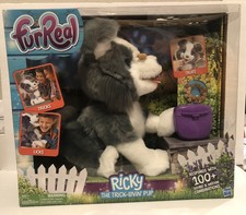 ricky the dog toy