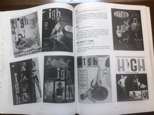 PIN-UP MANIA: GOLDEN AGE OF MEN'S MAGAZINES '50-'67 1993 Paperback - Picture 9 of 9