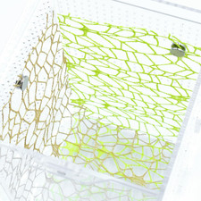 Jumping Spider Enclosure Accessories, 6 PCS Jumping Spider Netting with Magnets,