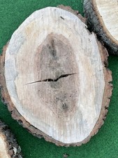 Baumscheibe bergahorn 34cm Holzscheiben  Epoxidharz Deko Basteln diy trocken 