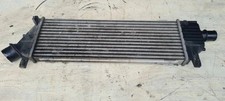 NISSAN MICRA III K12 Ladeluftkühler 1.60 Diesel 60kw 2005 31501855