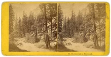 YOSEMITE SV - Piwyack Trail - E.J. Muybridge (Helios Gallery) 1860s