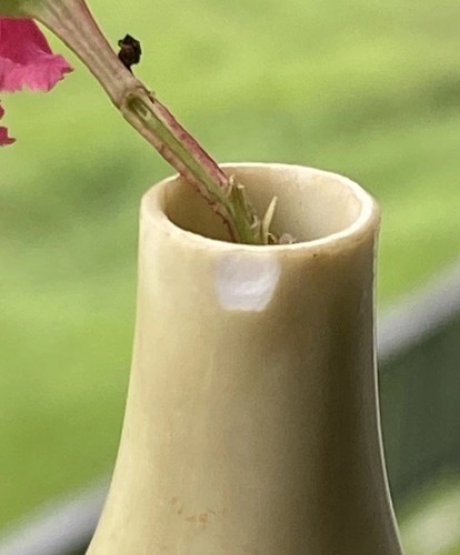 Rörstrand Carl Harry Stålhane Miniature Stoneware Cabinet Vase SXH 1950’s - Picture 3 of 14