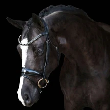 'Audrey' Rolled Leather Bridle (Hanoverian)