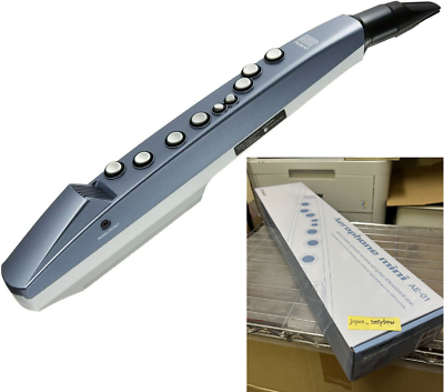 ROLAND Aerophone mini AE-01 Digital Wind Instrument 100% Genuine