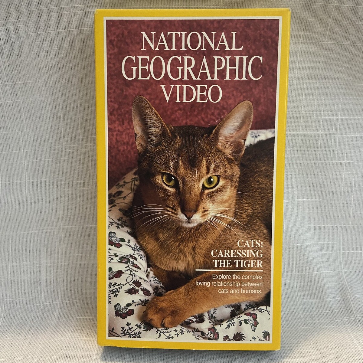Cats: Caressing The Tiger VHS 1991 National Geographic Joseph