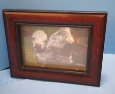Framed Print of Painting of Beef Cow with Her Calf