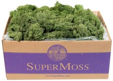  25155 Reindeer Moss Preserved, Basil, 3 Pounds