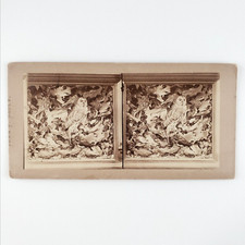 Taxidermy Owl Bird Exhibit Stereoview c1865 John P Soule Museum Display Art D847